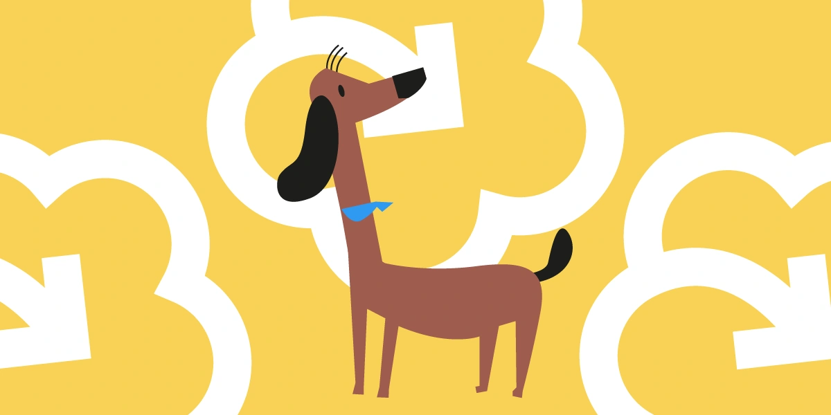 Как убирать за&nbsp;собакой на&nbsp;улице и&nbsp;другие вопросы по&nbsp;уходу за&nbsp;питомцами