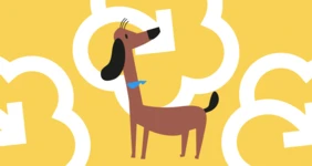 Как убирать за&nbsp;собакой на&nbsp;улице и&nbsp;другие вопросы по&nbsp;уходу за&nbsp;питомцами