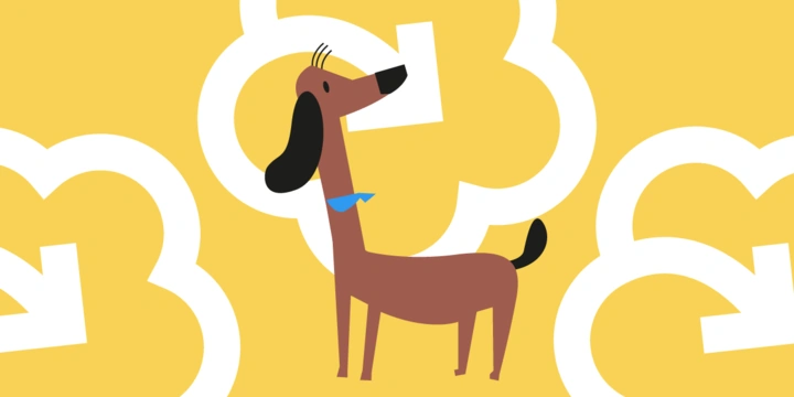 Как убирать за&nbsp;собакой на&nbsp;улице и&nbsp;другие вопросы по&nbsp;уходу за&nbsp;питомцами