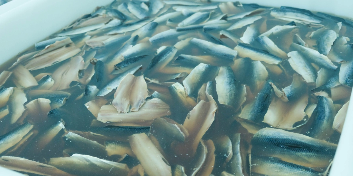 Ванну для&nbsp;посола наполняют водой, добавляют все необходимые ингредиенты и, конечно же, рыбу. Здесь селёдка проведёт до&nbsp;четырёх суток