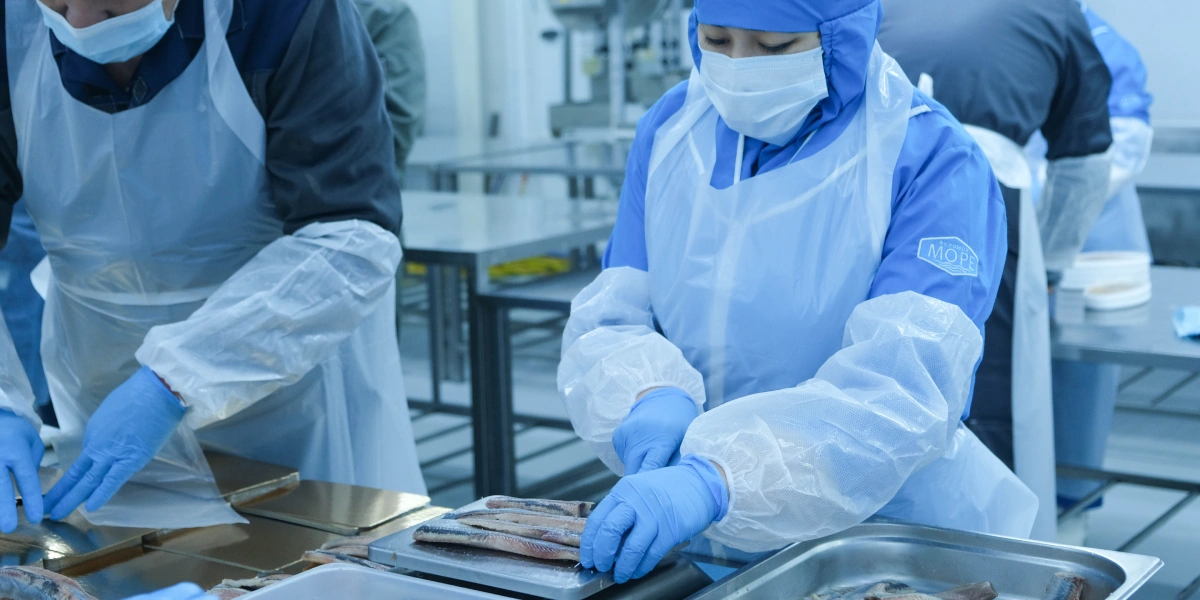 Все процессы осуществляются вручную, чтобы в&nbsp;упаковку рыба попала в&nbsp;идеальном виде