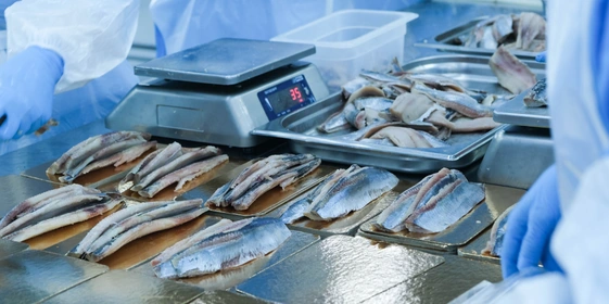 Рыбу на&nbsp;подложке помещают в&nbsp;вакуум, наносят этикетку и&nbsp;передают на&nbsp;хранение в&nbsp;холодильник с&nbsp;готовой продукцией