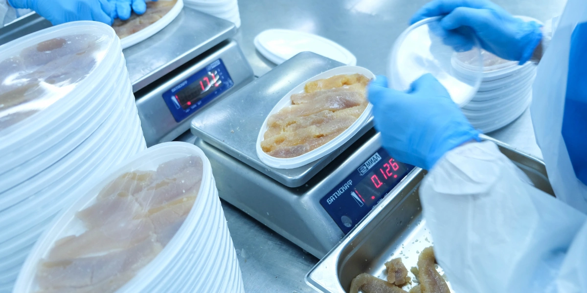 Ястычную икру сельди помещают в&nbsp;баночки, проверяя чистый вес сырья до&nbsp;заливки