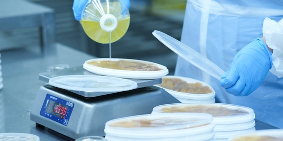 Баночки заливают маслом и&nbsp;закупоривают