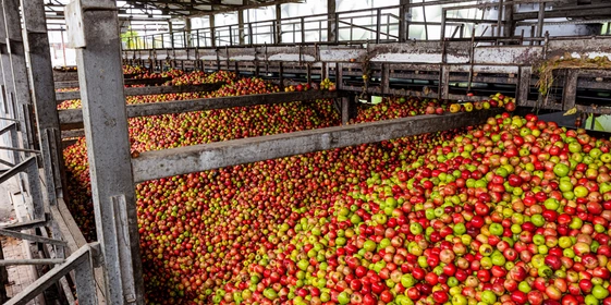 Сок готовят из&nbsp;смеси яблок ранних сортов — к&nbsp;примеру, «Гала», «Квинти», «Мантет», «Санрайс», «Дейтон» и&nbsp;«Женева»