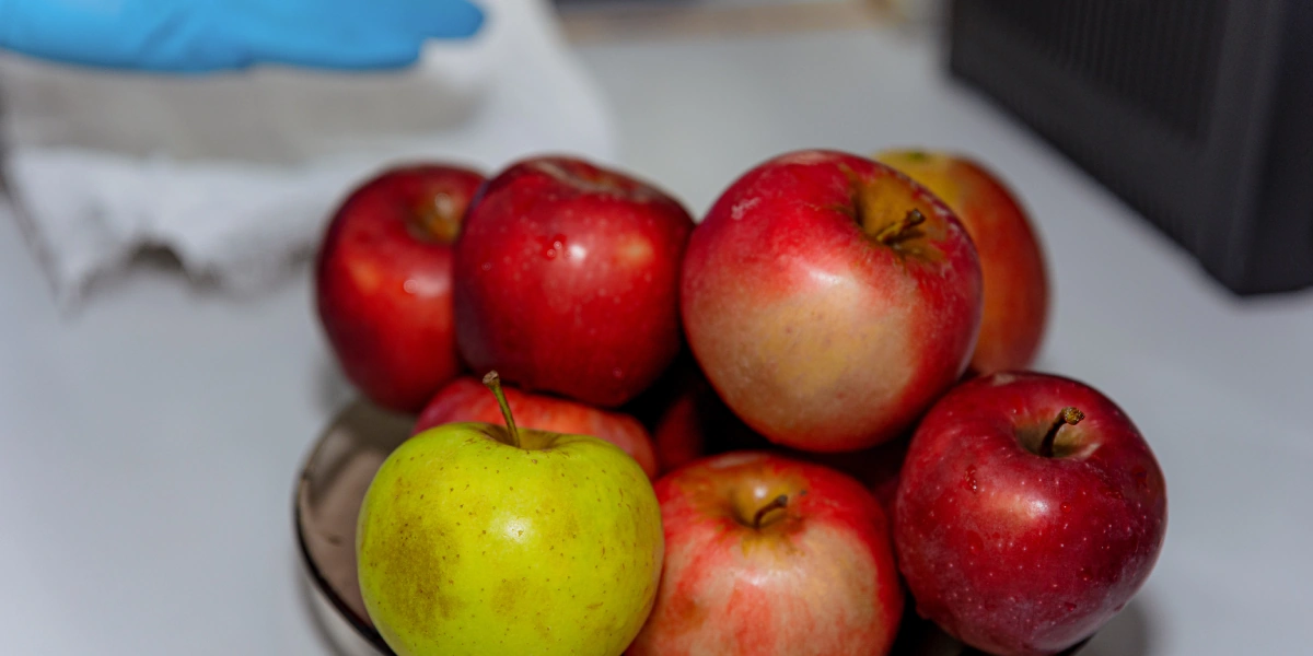 С каждой партии отбирается средняя проба яблок для&nbsp;лабораторного анализа. Определяется засорённость яблок: какой процент приходится на&nbsp;листики, веточки
