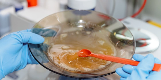 В лаборатории обращают внимание и&nbsp;на&nbsp;спелость яблок: косточка не должна быть белой. Такие яблоки не используют, иначе сок может замутниться. Только после&nbsp;лабораторной проверки яблоки принимают в&nbsp;бункеры