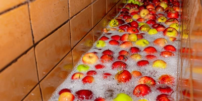 Сначала яблоки моют под&nbsp;холодной водой, потом подают на&nbsp;конвейер, где их тщательно перебирают вручную, убирая веточки и&nbsp;листочки. После&nbsp;этого моют ещё раз и&nbsp;только потом отправляют в&nbsp;дробилку