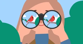 Наблюдение за&nbsp;птицами: что такое бёрдвотчинг и&nbsp;зачем им заниматься