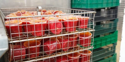 5 главных мифов о&nbsp;готовой кулинарии