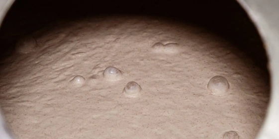 Создание хлеба начинается с&nbsp;замеса теста. Заранее приготовленную закваску соединяют с&nbsp;водой и&nbsp;тремя или четырьмя (в зависимости от&nbsp;итогового продукта) видами муки, добавляют соль и&nbsp;с&nbsp;помощью тестомеса перемешивают до&nbsp;однородной массы