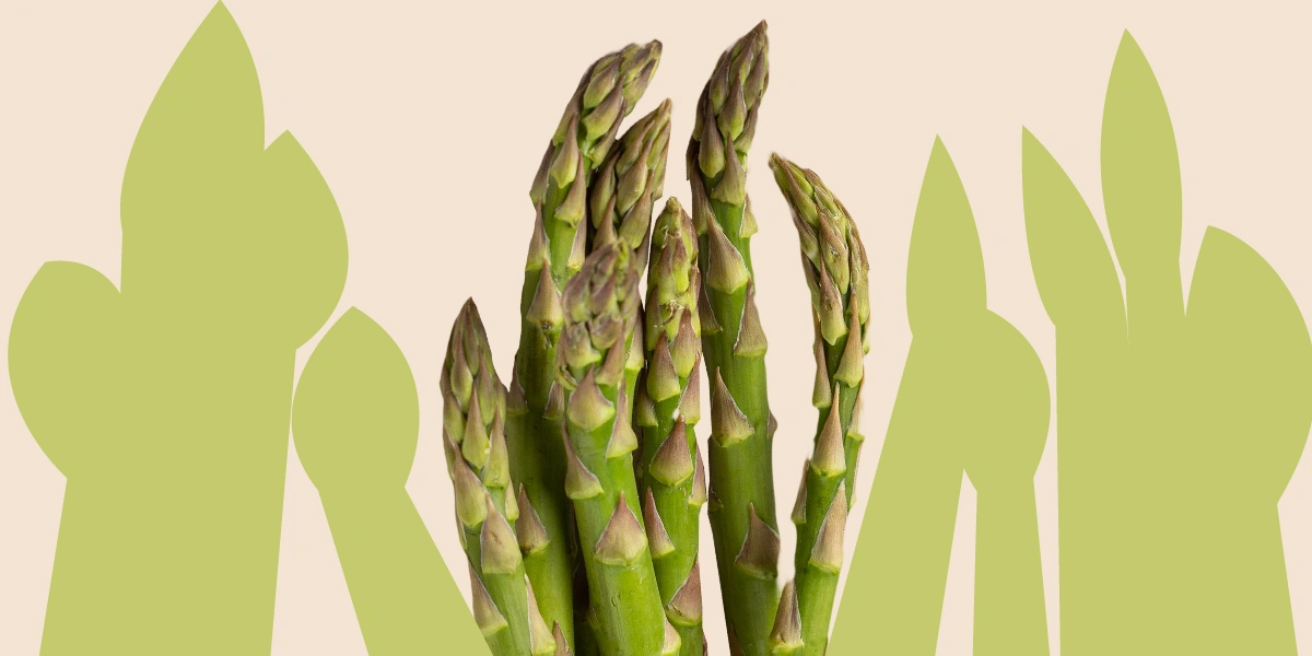Что такое спаржа, чем полезна и&nbsp;как её готовить