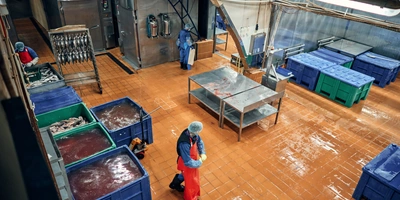 На производстве влажно, но проблем с&nbsp;образование плесени нет. Чистоту контролируют, сдавая в&nbsp;лабораторию смывы. Смывы — это образцы жидкости с&nbsp;микроорганизмами, взятые с&nbsp;поверхностей рук работников, оборудования, столов, спецодежды