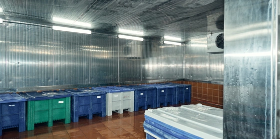 Всю рыбу солят в&nbsp;холодильных камерах при&nbsp;температуре от&nbsp;0 до&nbsp;+4 градусов