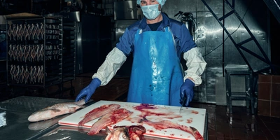 Пока рыбу потрошат вручную, но скоро на&nbsp;производство приедет оборудование, которое поможет автоматизировать работу