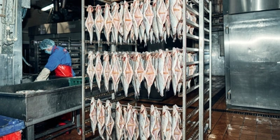 При холодном копчении в&nbsp;некоторые виды рыбы вставляют шпонки, чтобы продукт лучше просох изнутри. Затем развешивают гирляндой и&nbsp;направляют в&nbsp;термокамеру