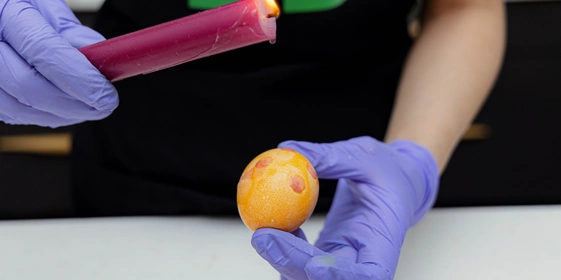 Как покрасить яйца натуральными красителями: пошаговые инструкции с&nbsp;фото