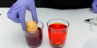 Как покрасить яйца натуральными красителями: пошаговые инструкции с&nbsp;фото