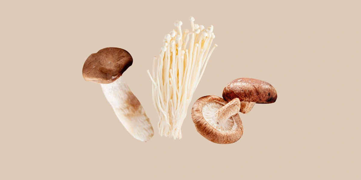 Что такое эноки, эринги, шиитаке и&nbsp;как их готовить