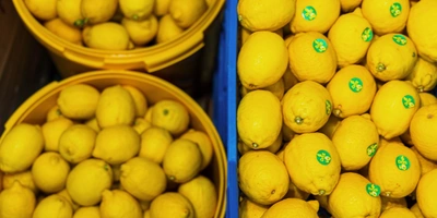 Для лимонного сорбета сначала готовят сок, выжимая его из&nbsp;свежих лимонов