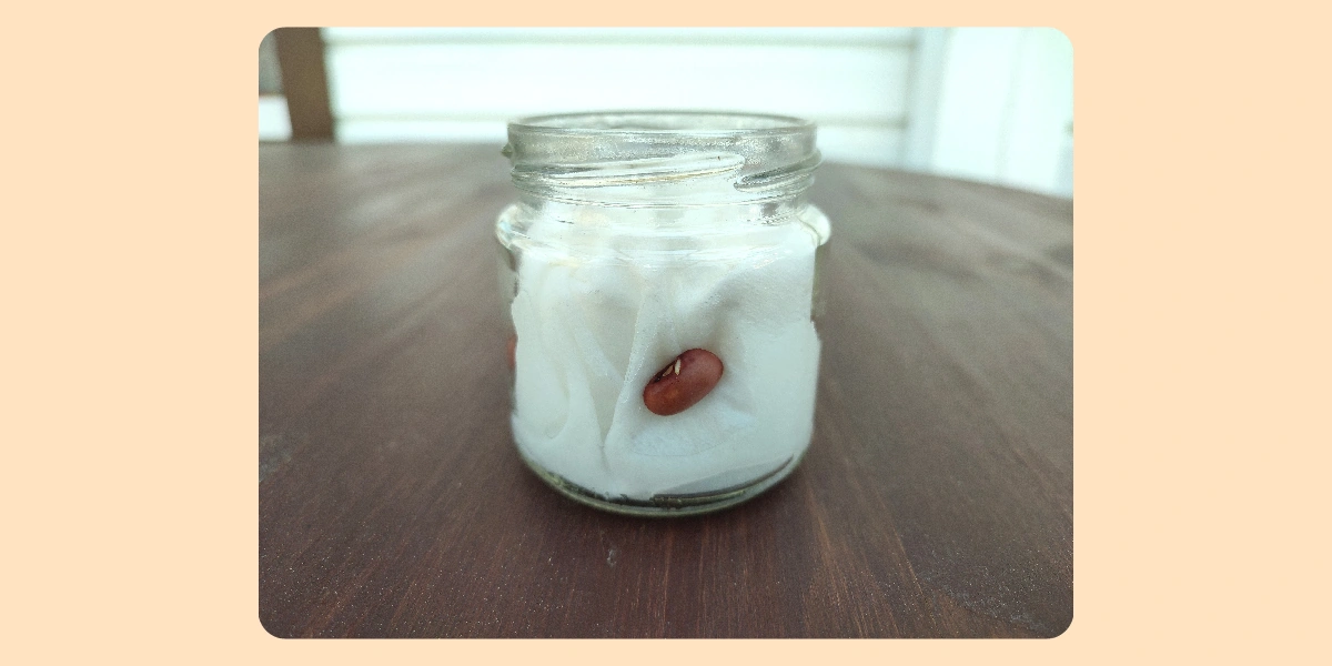 Экохобби вместо&nbsp;психолога: зачем горожанину грядки 