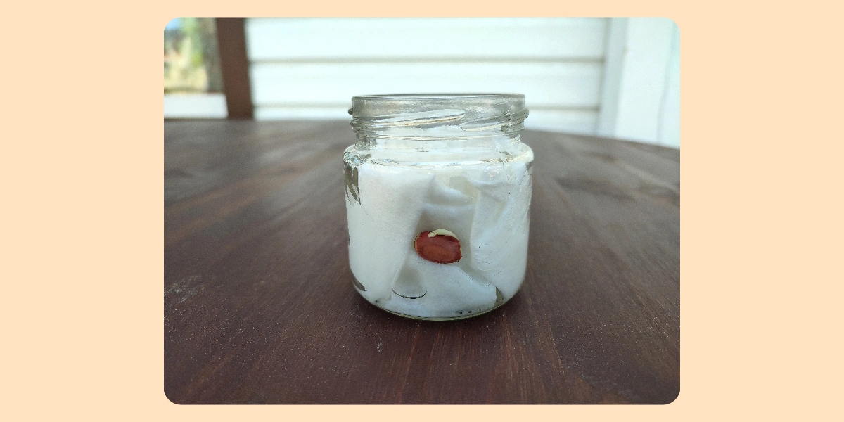 Экохобби вместо&nbsp;психолога: зачем горожанину грядки 