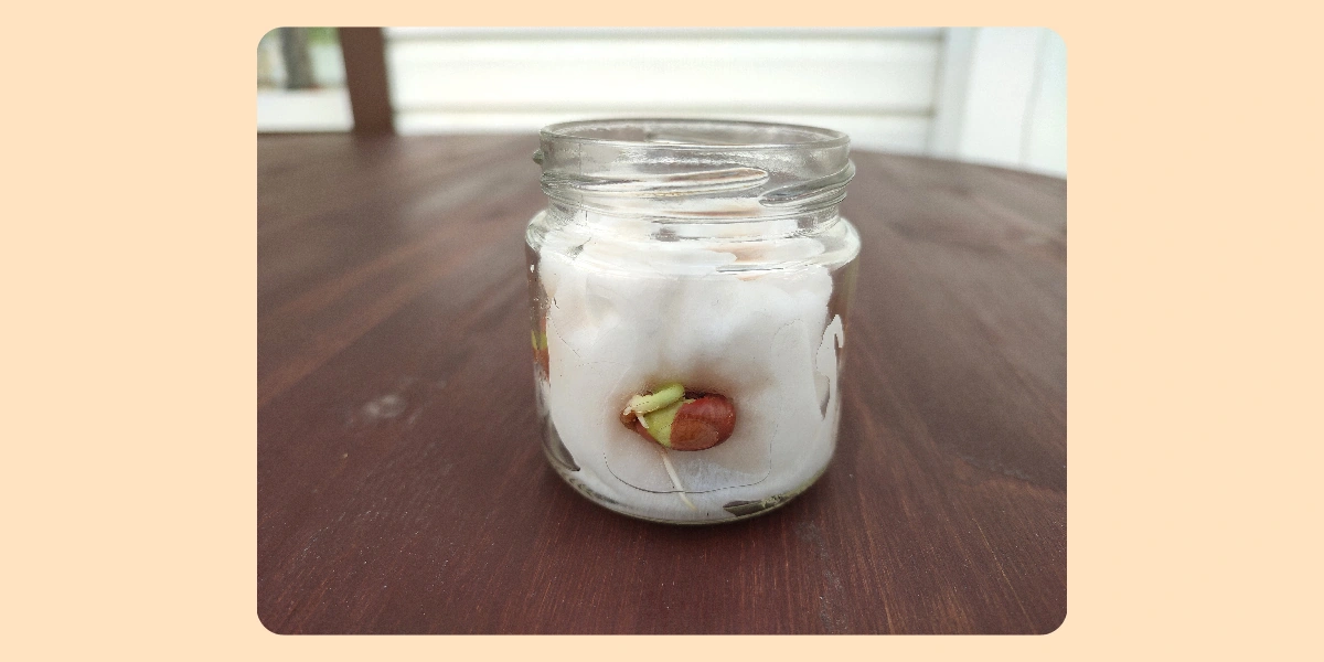 Экохобби вместо&nbsp;психолога: зачем горожанину грядки 