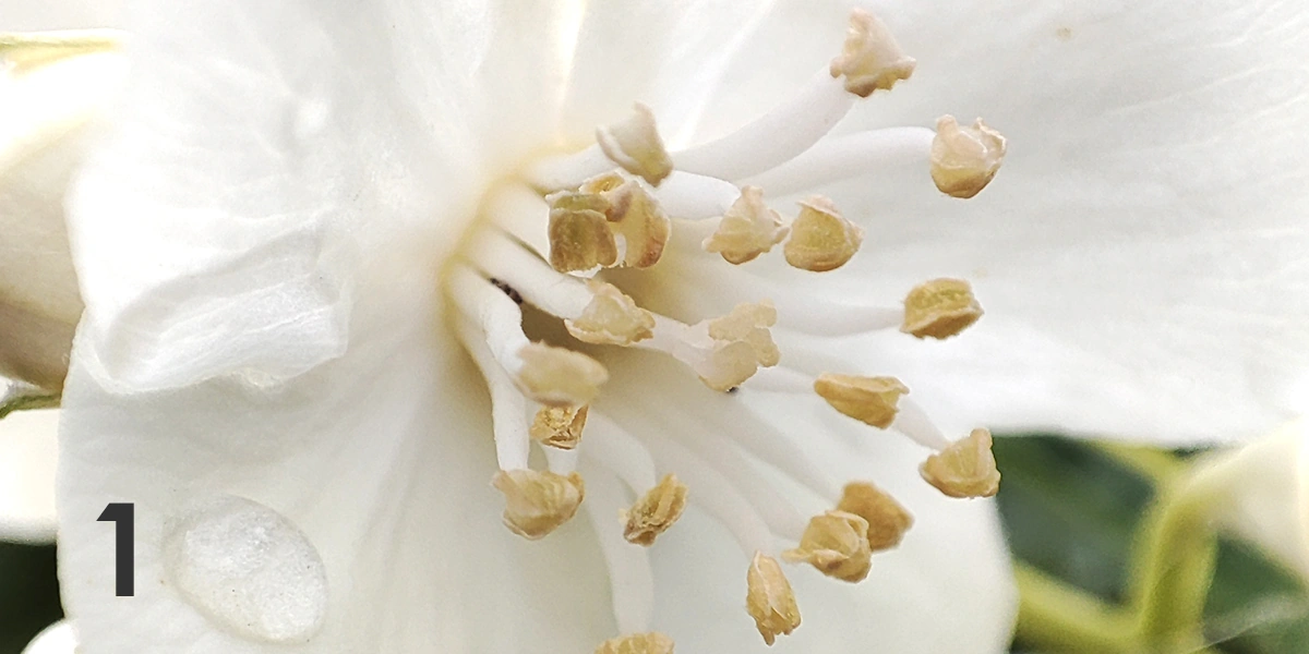 Экохобби вместо&nbsp;психолога: зачем горожанину грядки 