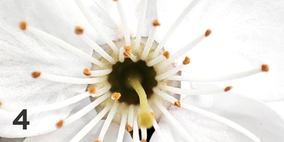 Экохобби вместо&nbsp;психолога: зачем горожанину грядки 