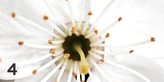 Экохобби вместо&nbsp;психолога: зачем горожанину грядки 