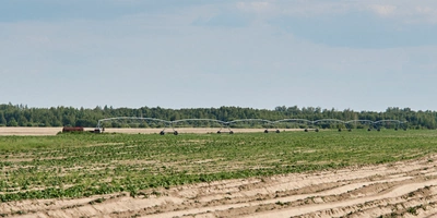 Картофелю нужно много влаги. В&nbsp;поле установлена система полива, в&nbsp;жару без&nbsp;воды овощ расти не будет