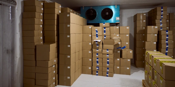 Пышная, сырная и&nbsp;с&nbsp;леопардовым бортом: как производят замороженную неаполитанскую пиццу