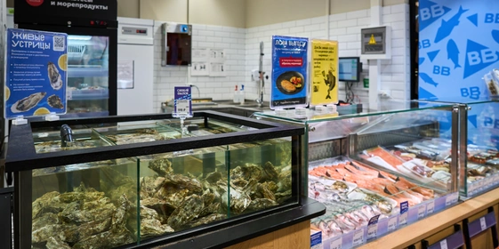 Гид по&nbsp;моллюскам: чем отличаются, как выбрать и&nbsp;приготовить