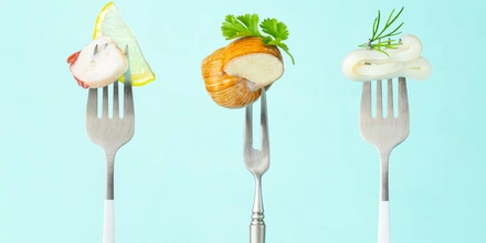 Гид по&nbsp;моллюскам: чем отличаются, как выбрать и&nbsp;приготовить