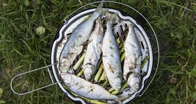 Черноморский луфарь на&nbsp;гриле