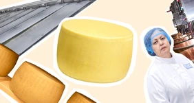 Как долго зреет сыр и&nbsp;почему он так пахнет: репортаж с&nbsp;производства