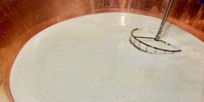 Как долго зреет сыр и&nbsp;почему он так пахнет: репортаж с&nbsp;производства