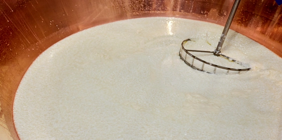 Как долго зреет сыр и&nbsp;почему он так пахнет: репортаж с&nbsp;производства