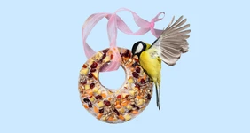 Как правильно кормить зимних птиц и&nbsp;что положить в&nbsp;кормушку