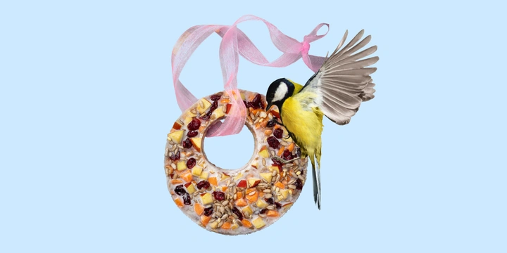 Как правильно кормить зимних птиц и&nbsp;что положить в&nbsp;кормушку