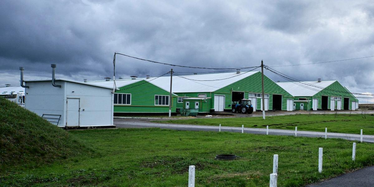 В место тысячи козлов: где и&nbsp;как производят альтернативный адыгейский сыр