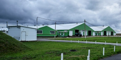 В место тысячи козлов: где и&nbsp;как производят альтернативный адыгейский сыр