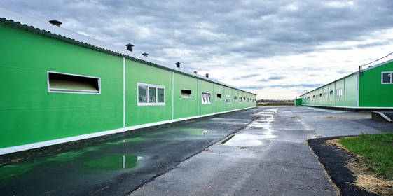 В место тысячи козлов: где и&nbsp;как производят альтернативный адыгейский сыр