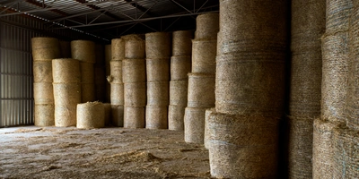 В место тысячи козлов: где и&nbsp;как производят альтернативный адыгейский сыр