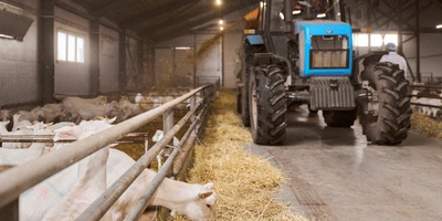 В место тысячи козлов: где и&nbsp;как производят альтернативный адыгейский сыр