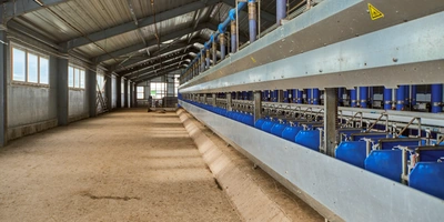 В место тысячи козлов: где и&nbsp;как производят альтернативный адыгейский сыр