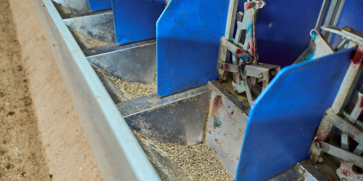 В место тысячи козлов: где и&nbsp;как производят альтернативный адыгейский сыр