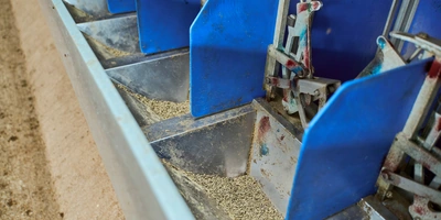 В место тысячи козлов: где и&nbsp;как производят альтернативный адыгейский сыр