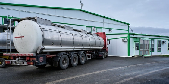 В место тысячи козлов: где и&nbsp;как производят альтернативный адыгейский сыр