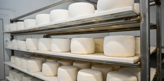 В место тысячи козлов: где и&nbsp;как производят альтернативный адыгейский сыр